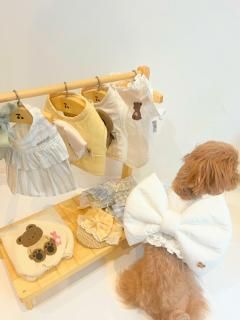 <img class='new_mark_img1' src='https://img.shop-pro.jp/img/new/icons14.gif' style='border:none;display:inline;margin:0px;padding:0px;width:auto;' />ڽ Heart Ribbon Harness_ White    Sͥ    From  Korea