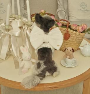 <img class='new_mark_img1' src='https://img.shop-pro.jp/img/new/icons14.gif' style='border:none;display:inline;margin:0px;padding:0px;width:auto;' />ڽ Heart Ribbon Harness_ White     ͥ    From  Korea