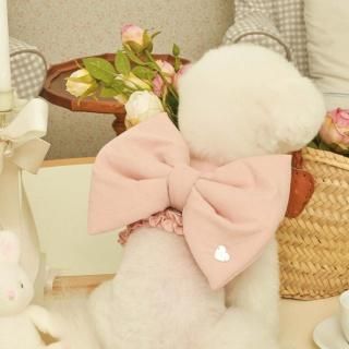 <img class='new_mark_img1' src='https://img.shop-pro.jp/img/new/icons14.gif' style='border:none;display:inline;margin:0px;padding:0px;width:auto;' />ڽ Heart Ribbon Harness_  PinK    ͥ    From  Korea