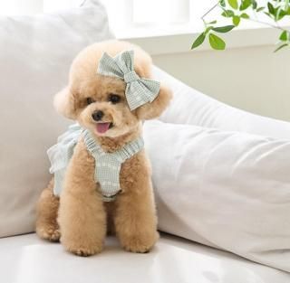 <img class='new_mark_img1' src='https://img.shop-pro.jp/img/new/icons14.gif' style='border:none;display:inline;margin:0px;padding:0px;width:auto;' />ڽ  Check Daisy dress_ Green ͥ    From  Korea