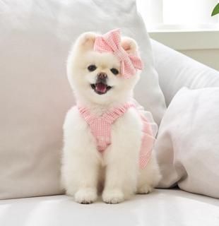 <img class='new_mark_img1' src='https://img.shop-pro.jp/img/new/icons14.gif' style='border:none;display:inline;margin:0px;padding:0px;width:auto;' />ڽ  Check Daisy dress_ PinK ͥ   From  Korea