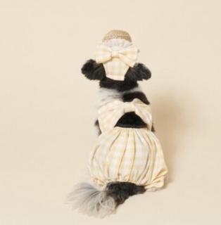 <img class='new_mark_img1' src='https://img.shop-pro.jp/img/new/icons14.gif' style='border:none;display:inline;margin:0px;padding:0px;width:auto;' />ڽ Check Ribbon Lace Hat Light Yellow ͥ   From  Korea