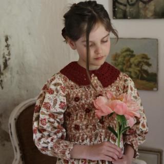 <img class='new_mark_img1' src='https://img.shop-pro.jp/img/new/icons14.gif' style='border:none;display:inline;margin:0px;padding:0px;width:auto;' />ĤϤ Bonjour diary       Handsmock blouse  & crochet collar ALINE Print 