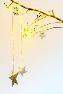 <img class='new_mark_img1' src='https://img.shop-pro.jp/img/new/icons14.gif' style='border:none;display:inline;margin:0px;padding:0px;width:auto;' />✿ Starry Branch  Star Ornament(饤Ȥ°Ƥޤ)